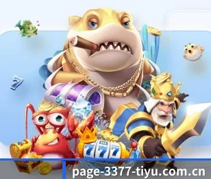 3377体育官网的故事