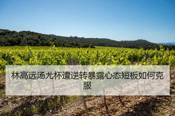 lin-gao-yuan-tang-you-bei-zao-ni-zhuan-bao-lu-xin-tai-duan-ban-ru-he-ke-fu-3-642.jpg