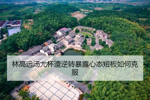 林高远汤尤杯遭逆转暴露心态短板如何克服