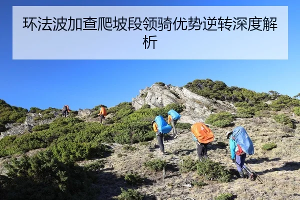 huan-fa-bo-jia-cha-pa-po-duan-ling-qi-you-shi-ni-zhuan-shen-du-jie-xi-2-925.jpg