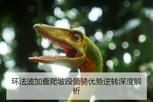 环法波加查爬坡段领骑优势逆转深度解析