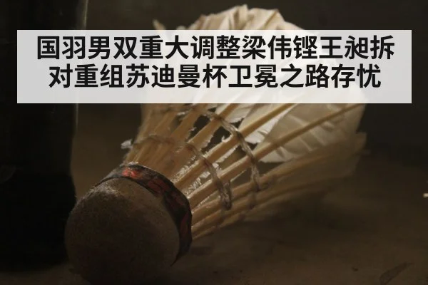 国羽男双重大调整梁伟铿王昶拆对重组苏迪曼杯卫冕之路存忧