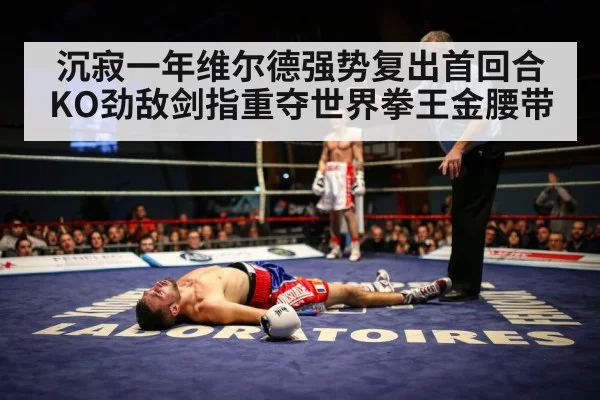 沉寂一年维尔德强势复出首回合KO劲敌剑指重夺世界拳王金腰带