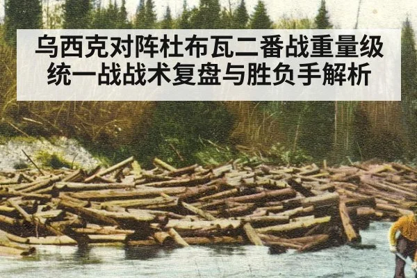 乌西克对阵杜布瓦二番战重量级统一战战术复盘与胜负手解析